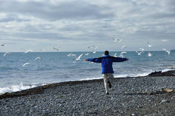 Perseguindo gaivotas em praia de Homer, na Península do Kenai, no sul do Alaska
